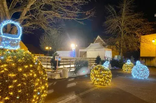 PatinoireOccasion